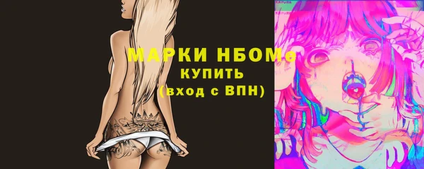 мет Алексин