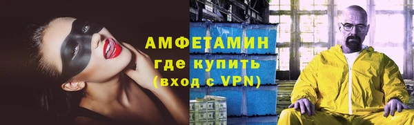 мет Алексин