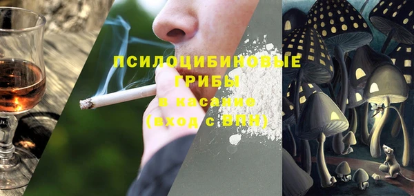 мет Алексин