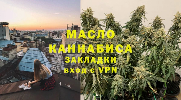 мет Алексин