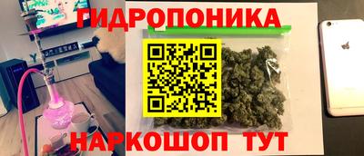 ПСИЛОЦИБИНОВЫЕ ГРИБЫ Заволжье